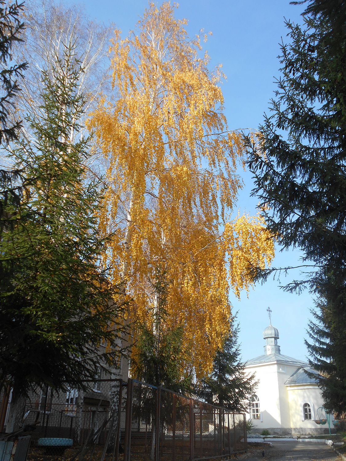 Осенние мотивы Виктора Керна
